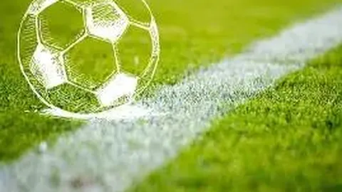 华体会体育娱乐