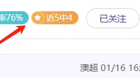 阿尔卡拉斯力克德米纳尔，鹿特丹站ATP决赛2025年圆满落幕