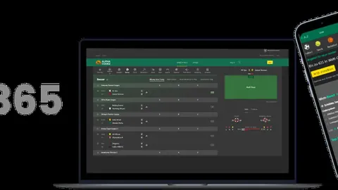 【全日精研揭秘】英冠焦点对决：谢菲尔德联队表现大揭秘！