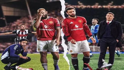 华体会体育娱乐