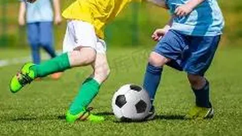 华体会体育娱乐